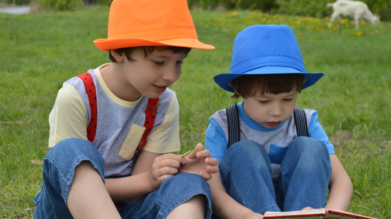 Два мальчика с книгой сидят на траве