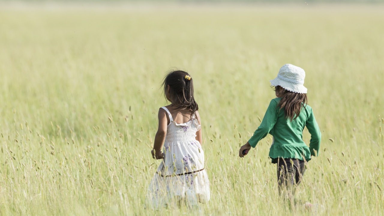 Две маленькие девочки гуляют по полю 