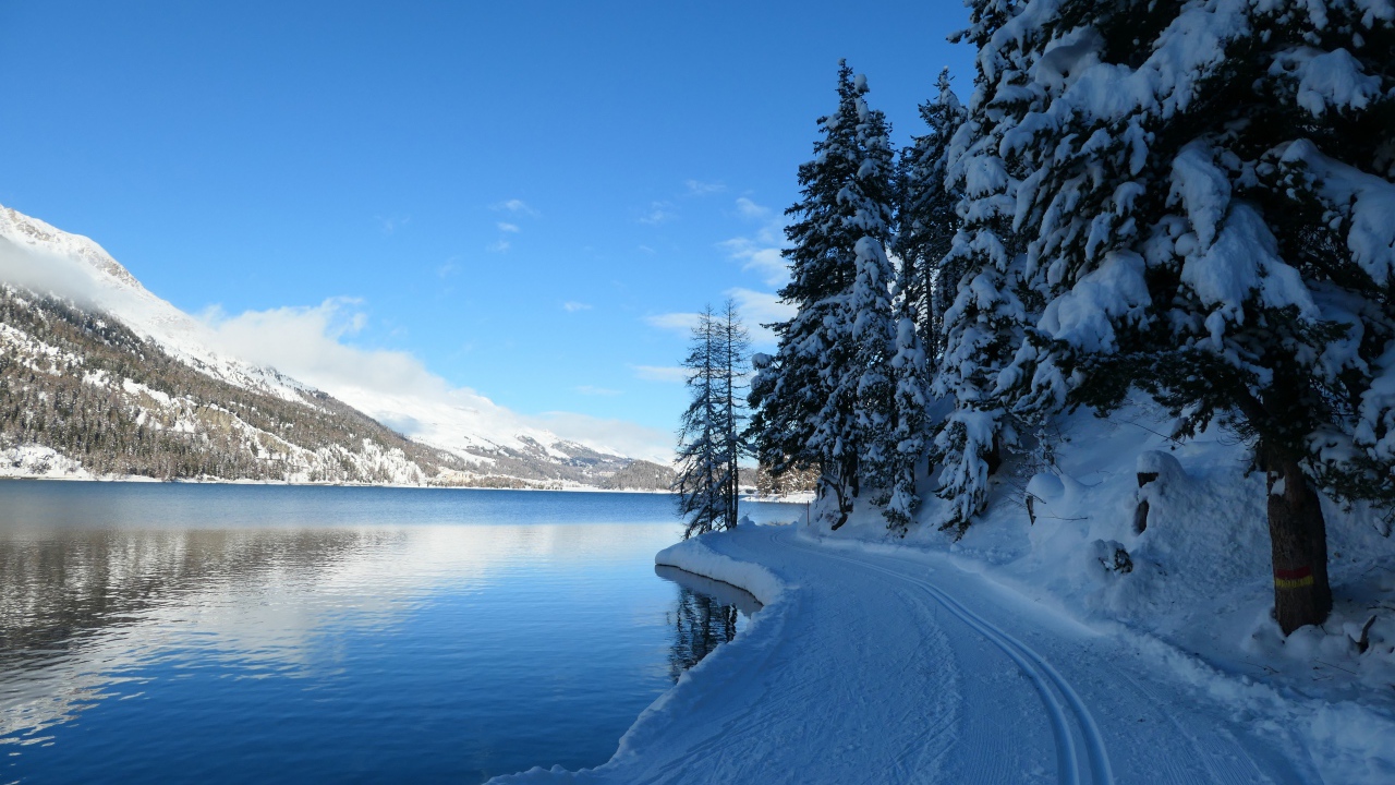 Покрытая снегом дорога у озера