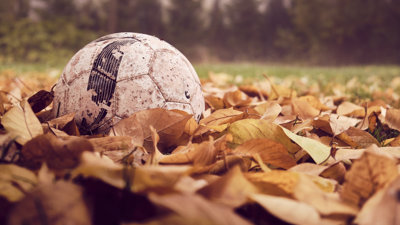 Старый футбольный мяч в сухой листве 