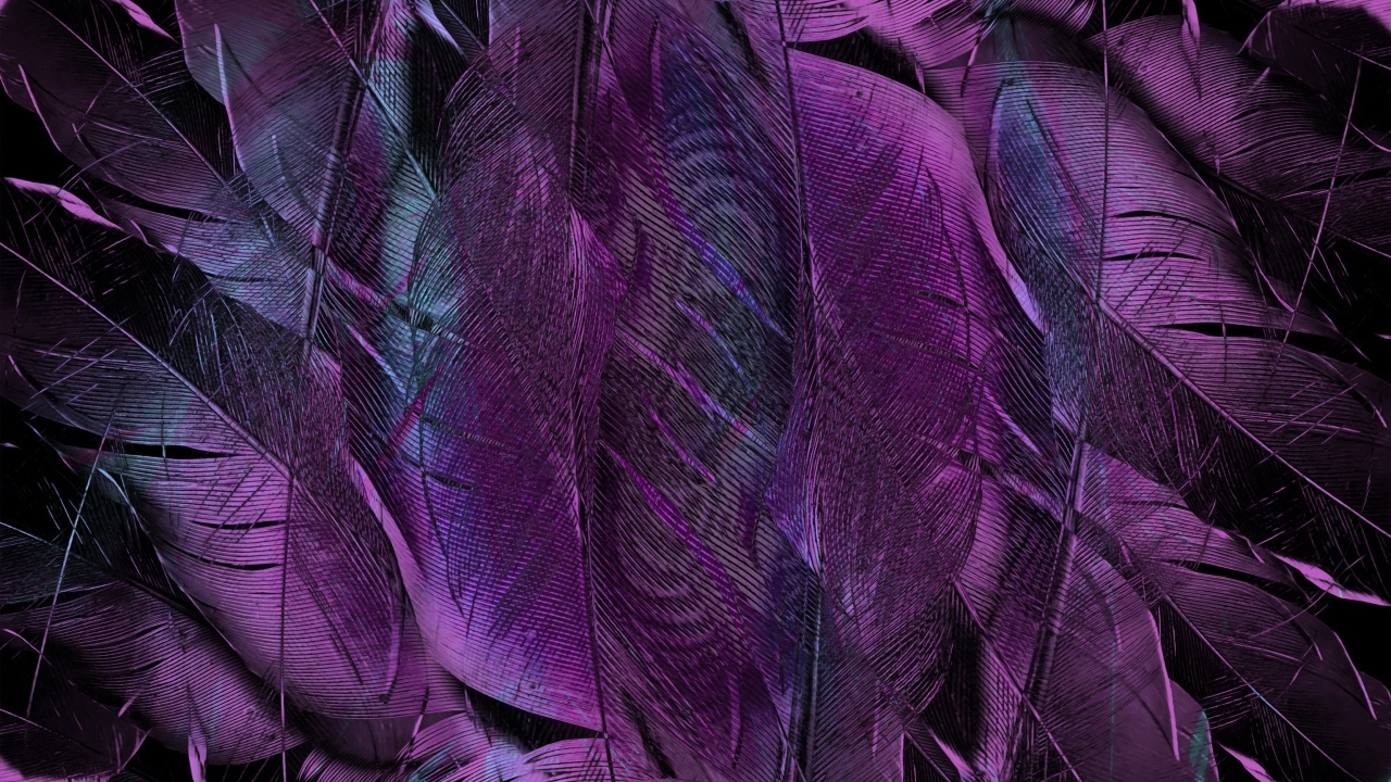 Фиолетовые перья птицы крупным планом