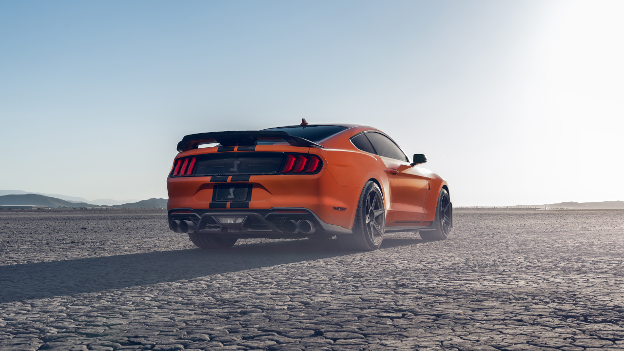 Быстрый Ford Shelby GT500 вид сзади