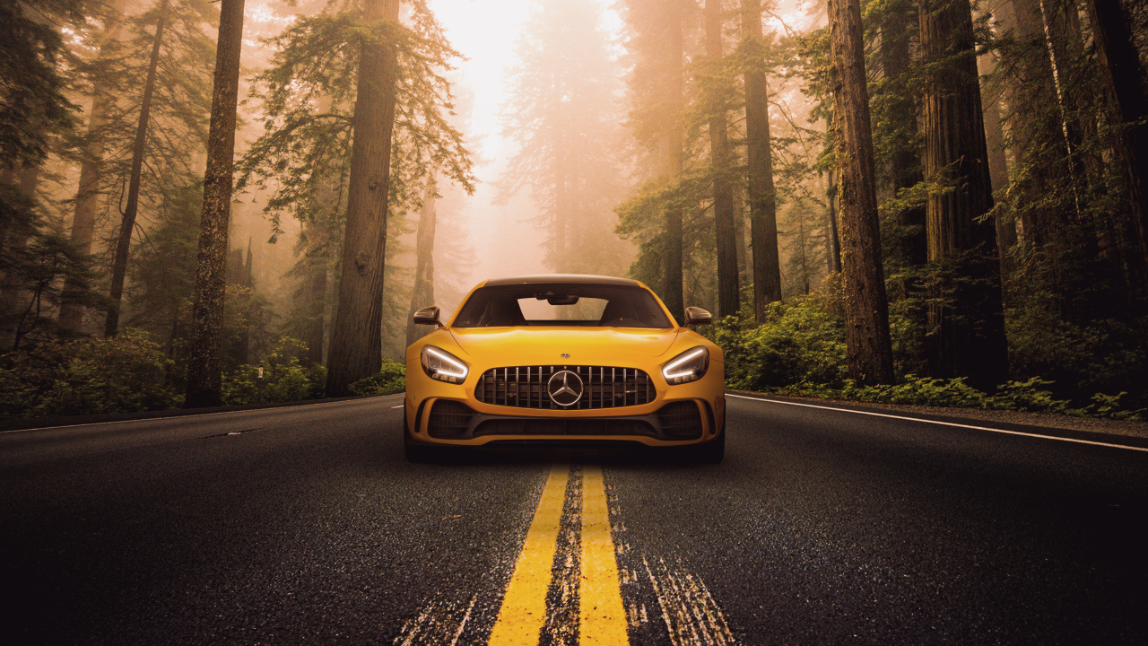 Автомобиль Mercedes-Benz AMG GT R на трассе в лесу