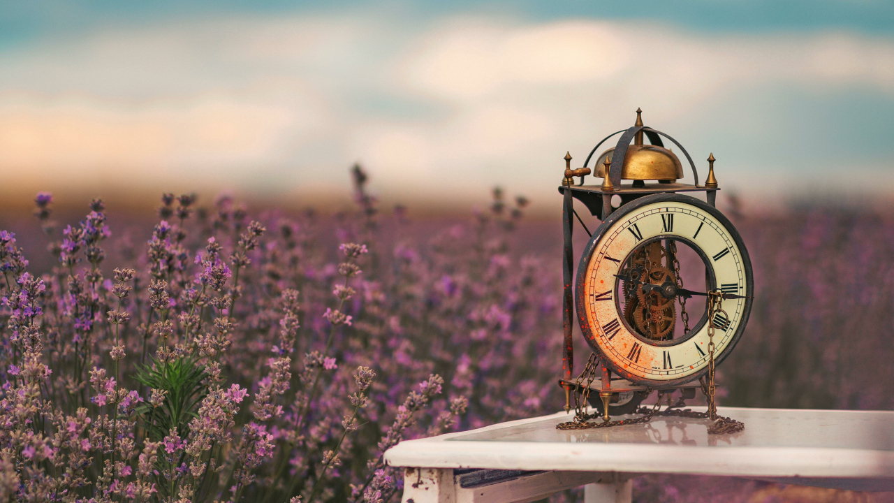 Старинный часы стоят на столе у лавандового поля