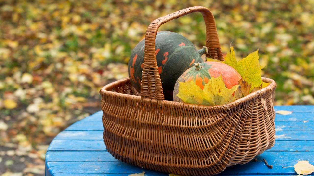 Корзина с тыквой осенью 