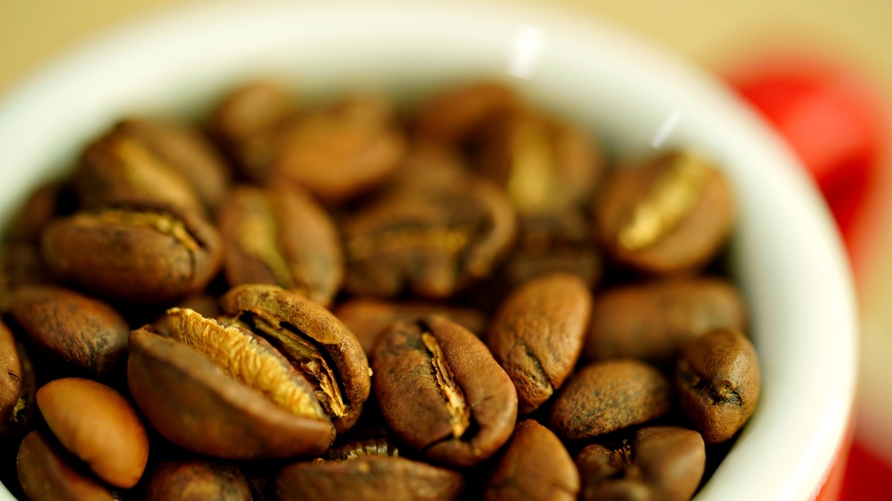 Зерна кофе с белой кружке вблизи