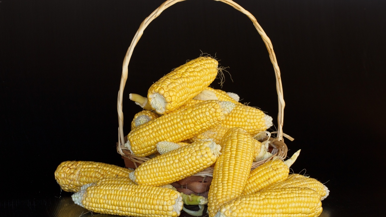 Кукуруза в корзине на черном фоне