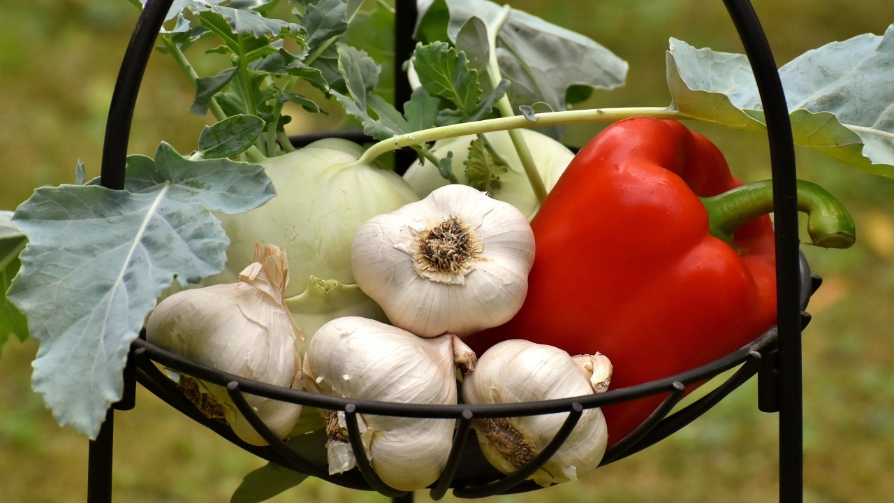 Чеснок, сладкий перец и корнеплоды в корзине