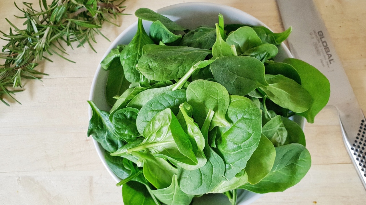 Зеленые листья базилика на столе с розмарином