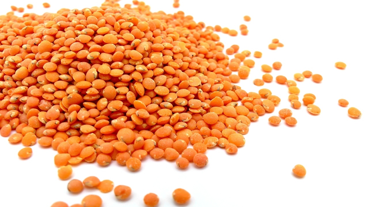 Оранжевая чечевица на белом фоне