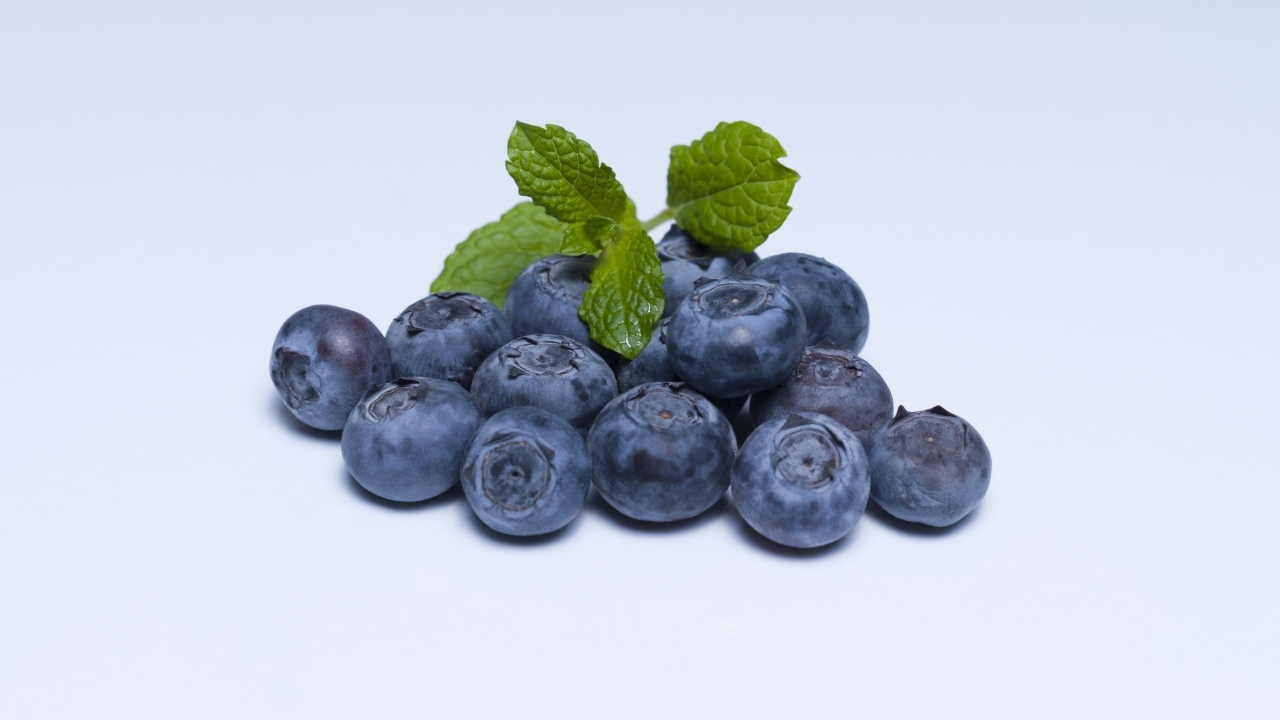 Горсть ягод черники на сером фоне