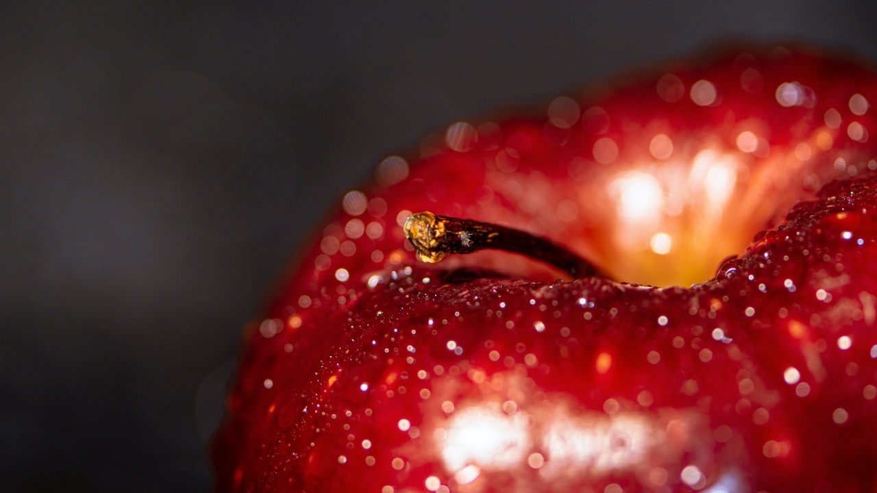 Большое мокрое красное яблоко на сером фоне