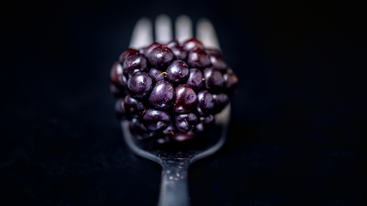 Ягода ежевики на вилке на черном фоне