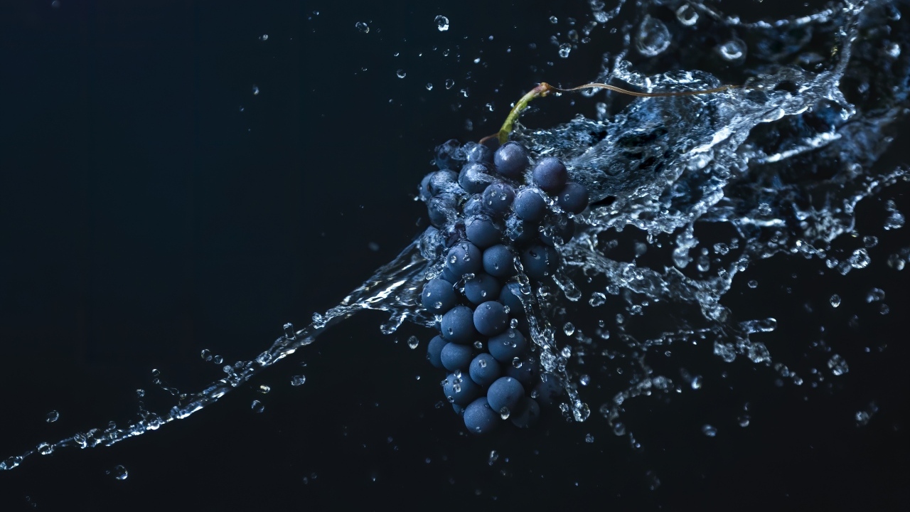 Гроздь синего винограда в воде на черном фоне