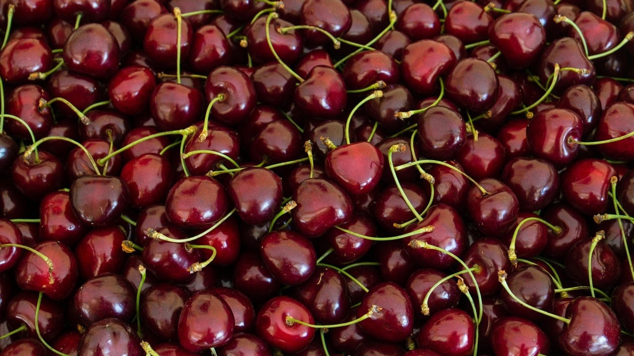 Много вкусной спелой красной черешни 