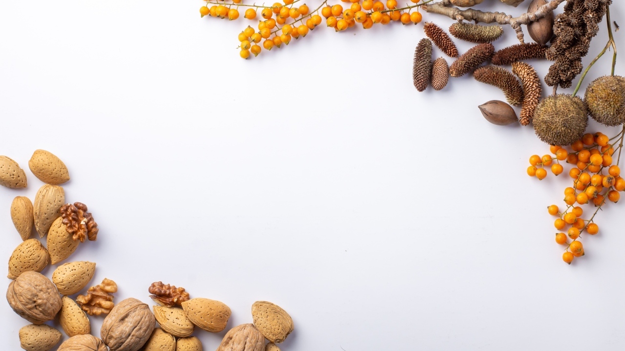 Орехи и ветки для фона