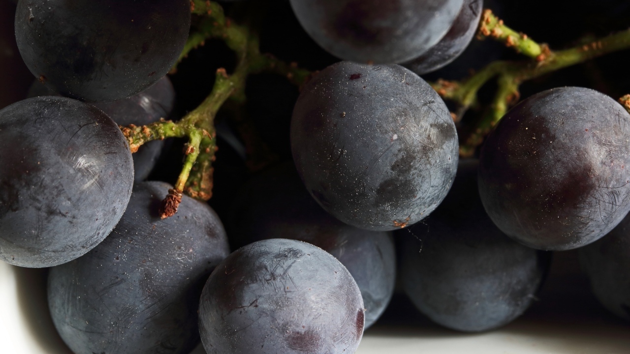 Розовый круглый виноград крупным планом