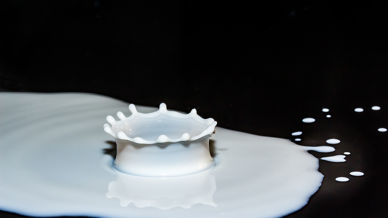 Брызги белого молока на черном фоне