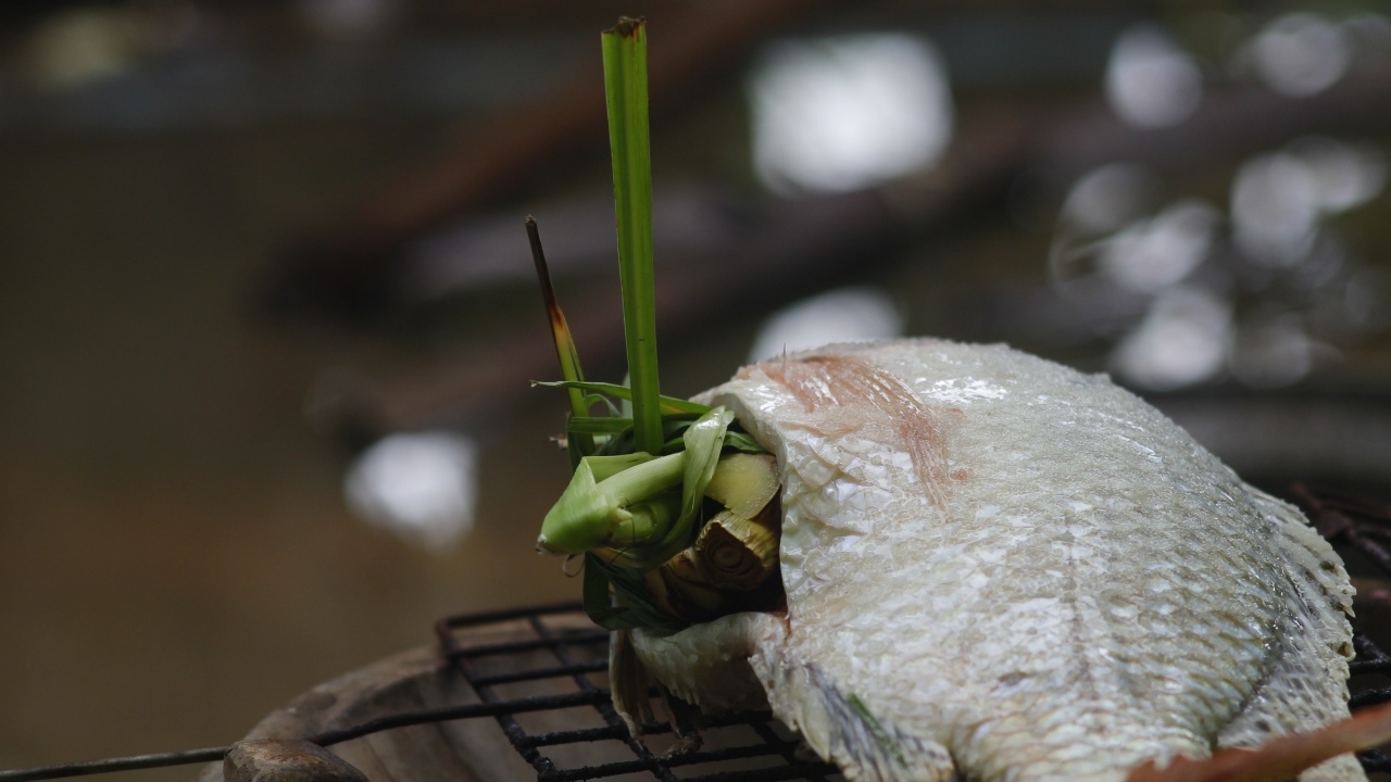 Рыба фаршированная зеленью на гриле