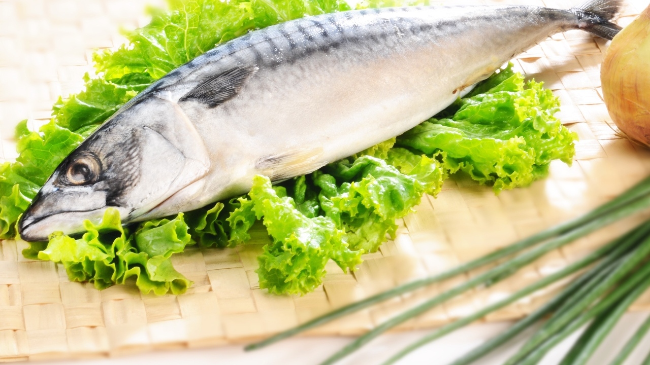 Крупная скумбрия с листьями салата