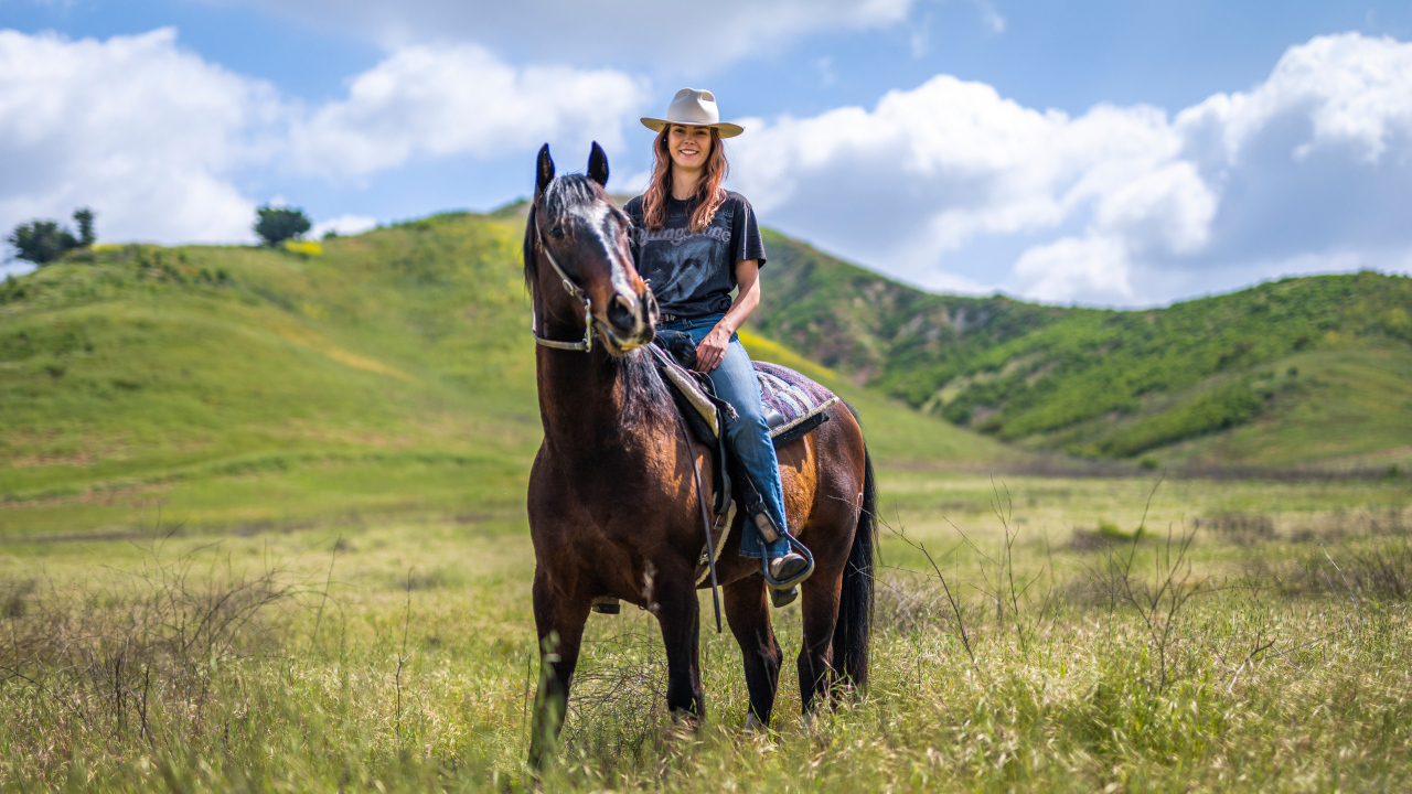 Красивая девушка сидит на большой лошади