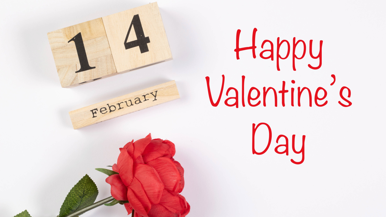 Красивая открытка с розой на белом фоне на День влюбленных