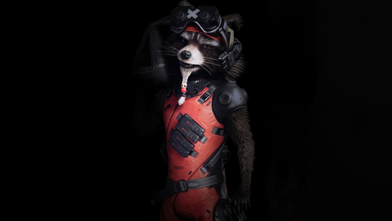 Енот в костюме на черном фоне