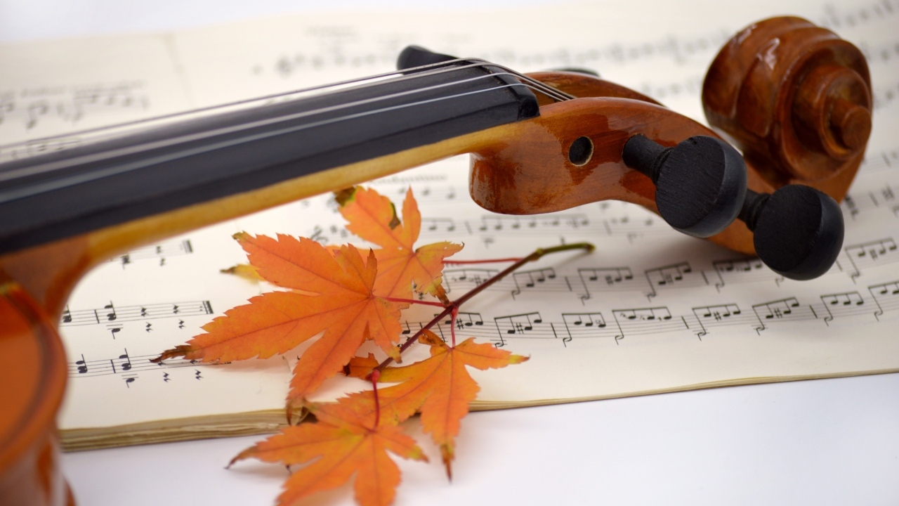 Скрипка на столе с листьями и нотами