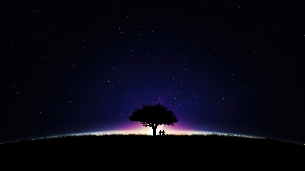 Большое дерево на фоне неба ночью