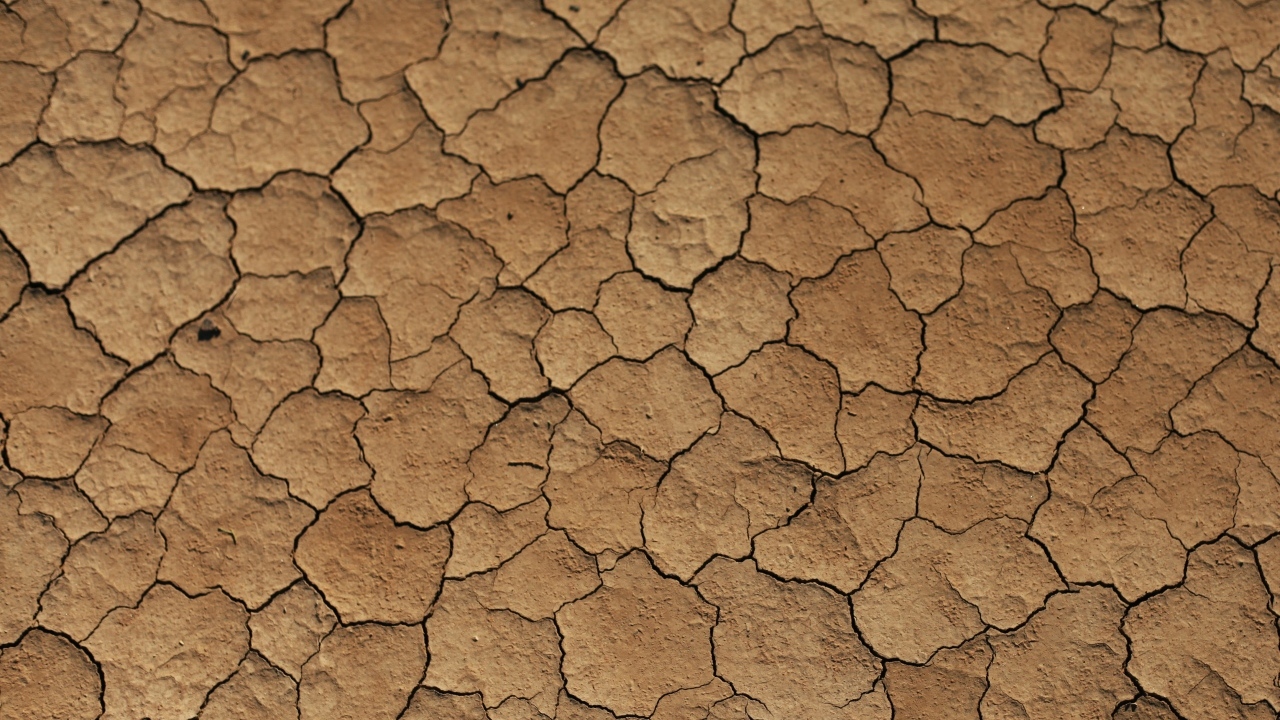 Трещины на сухой земле 