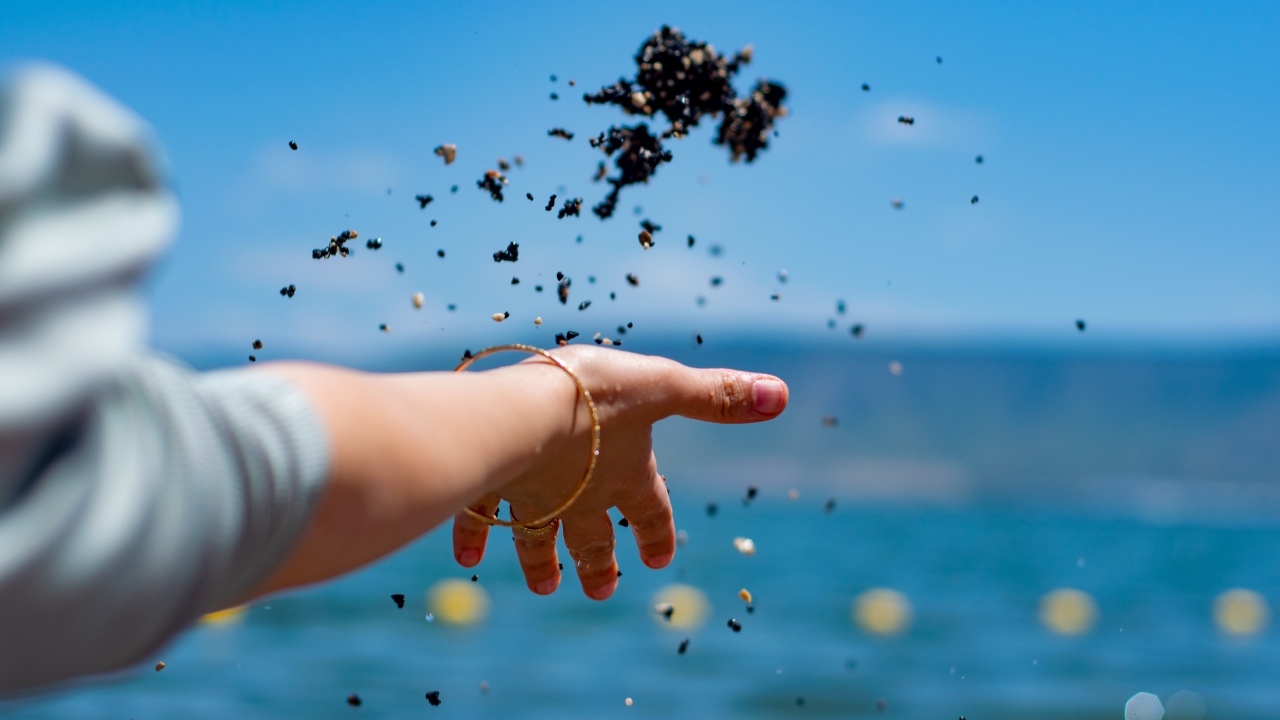 Девушка бросает корм в воду