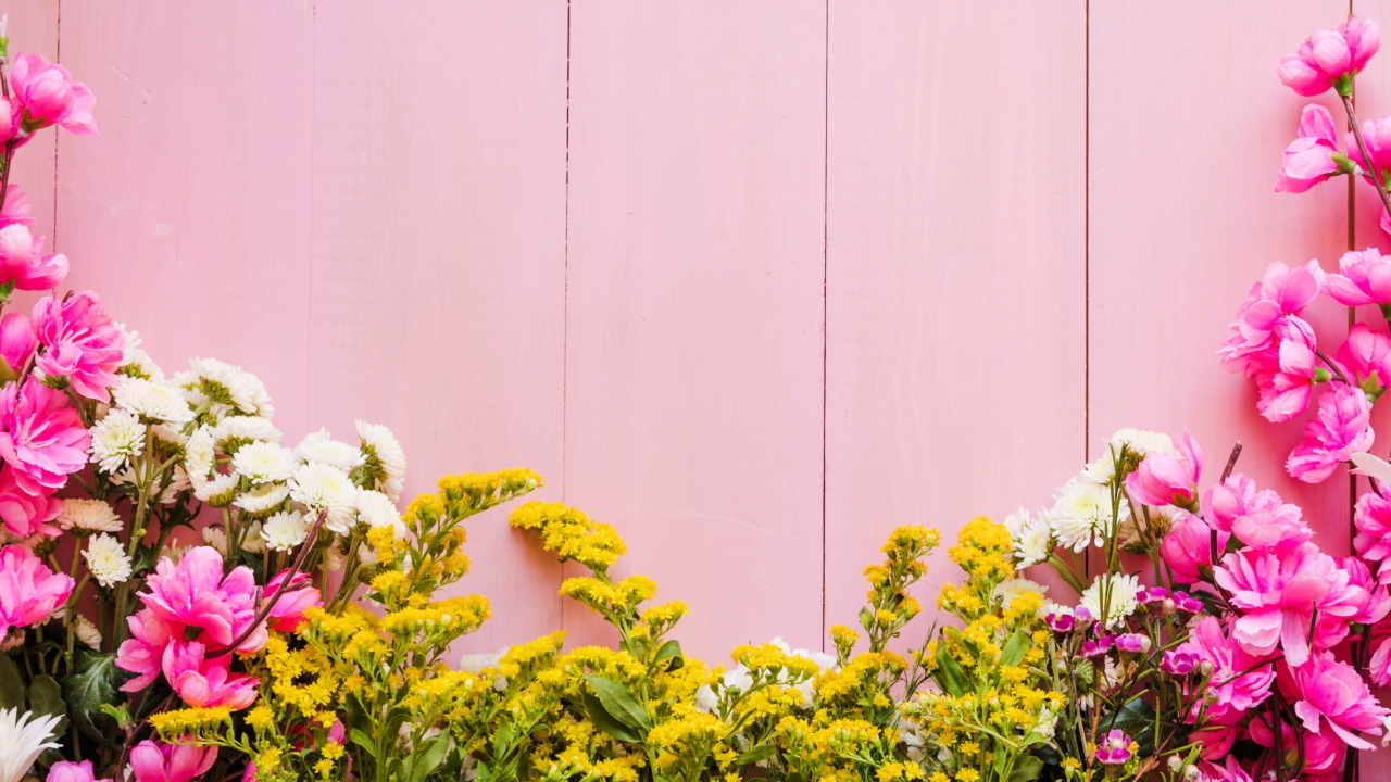 Красивые цветы на розовом фоне