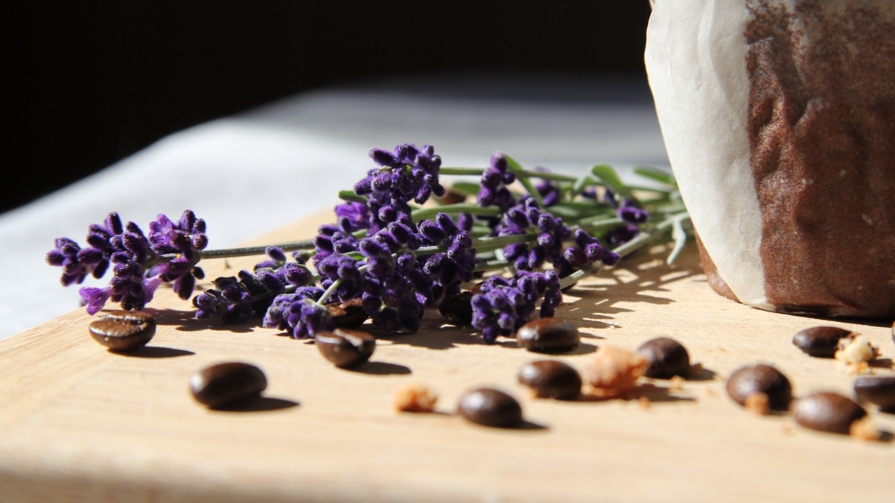 Синие цветы лаванды с зернами кофе