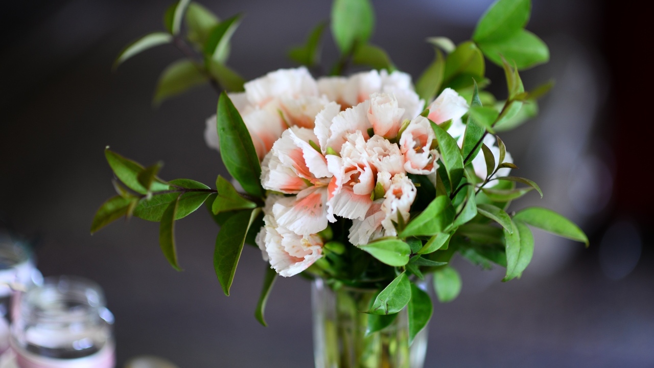 Букет розовых гвоздик  с зелеными листьями в вазе