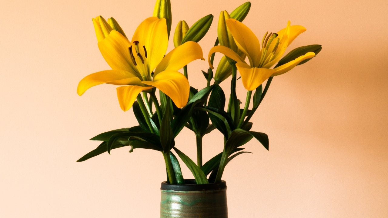 Букет желтых лилий в вазе