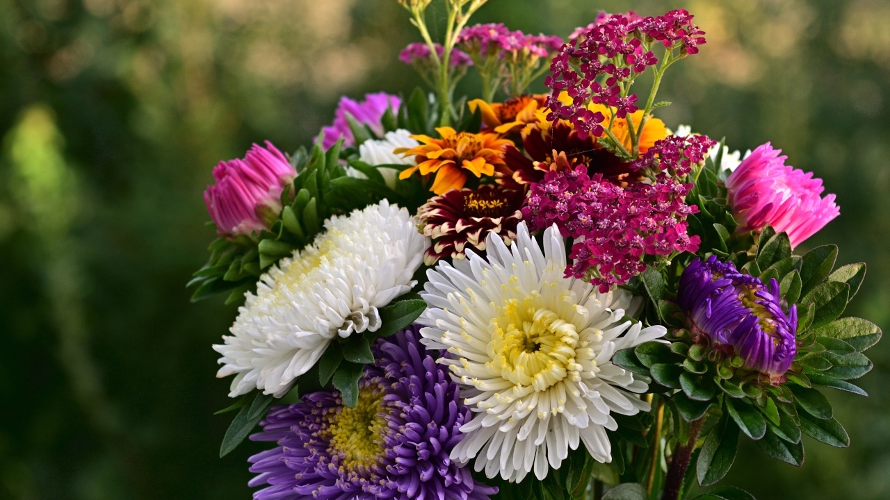 Яркий букет садовых осенних цветов