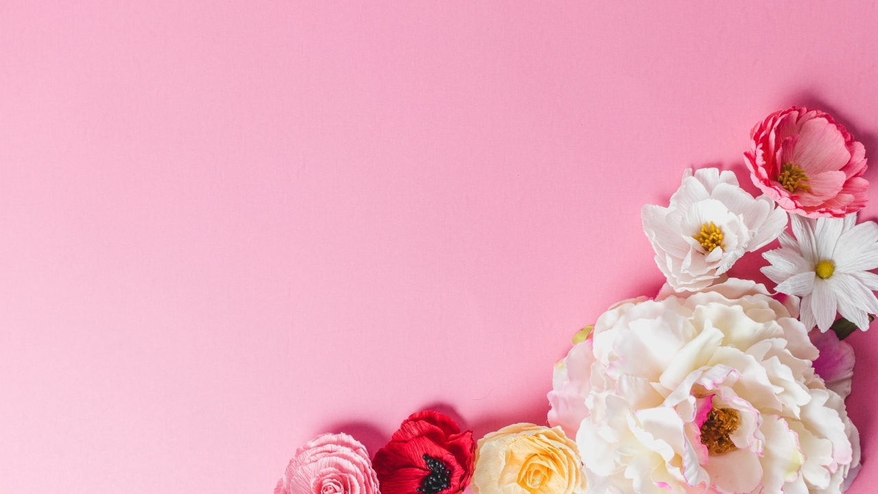 Нежные сорванные цветы на розовом фоне