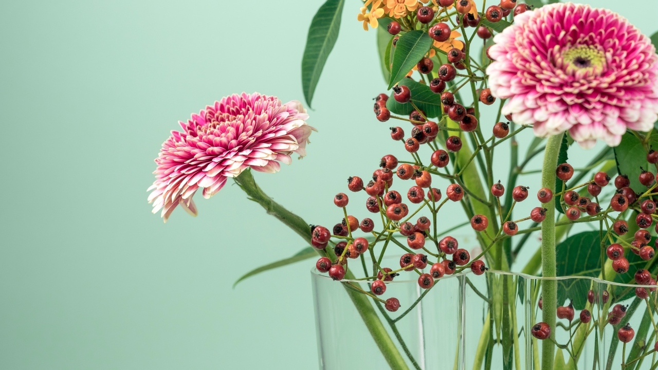 Розовые герберы с ветками на голубом фоне