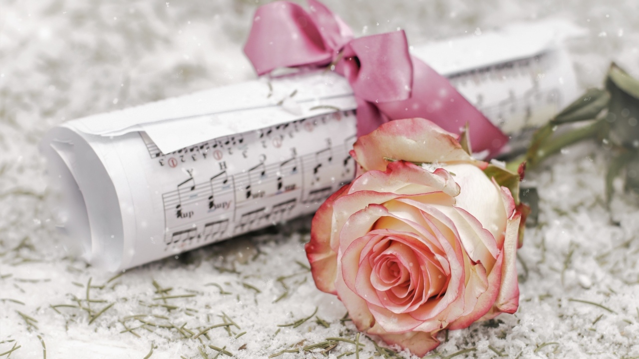 Розовая роза с нотами на снегу