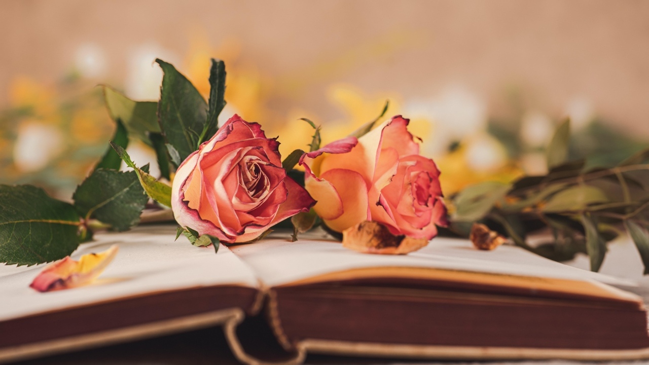 Две розы лежат на открытой книге