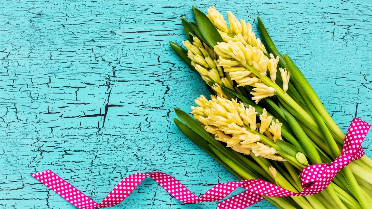 Желтые гиацинты с лентой на голубом фоне