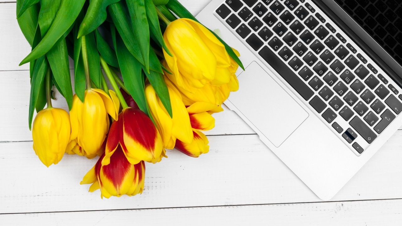 Желтые тюльпаны с ноутбуком на столе
