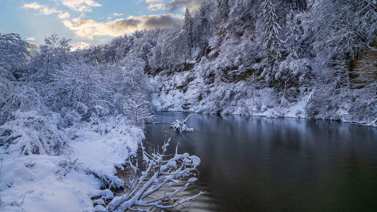 Покрытый снегом лес у холодной зимней реки