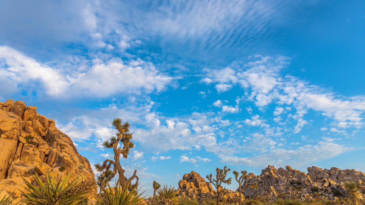 Кактусы и горы под голубым небом с белыми облаками
