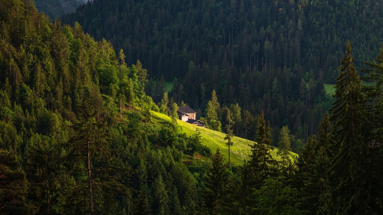 Дом на крутом покрытом лесом горном склоне