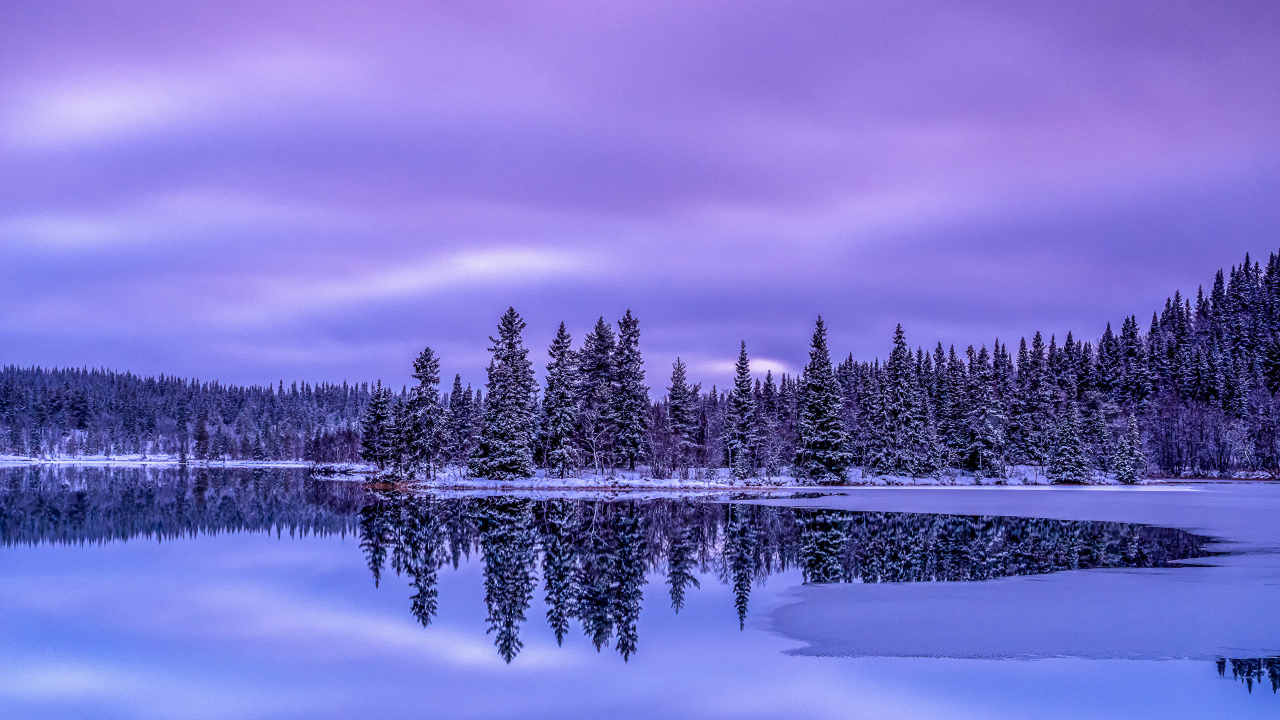 Красивое покрытое льдом озеро у заснеженного леса