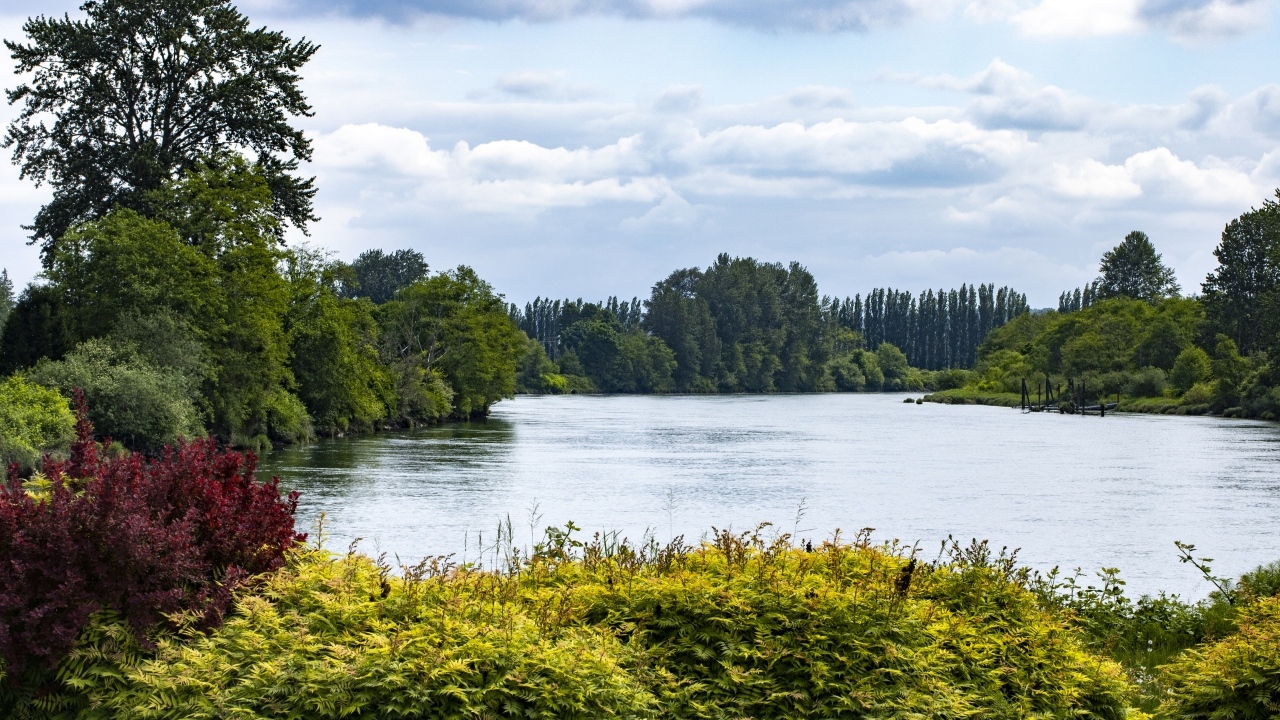 Озеро с покрытыми деревьями берегами