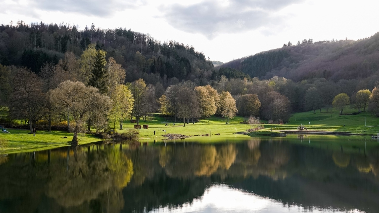 Красивый вид на озеро и парк