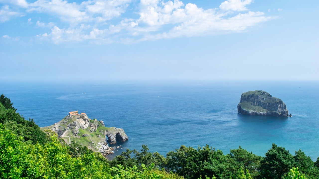 Красивый вид на море с покрытой деревьями горы