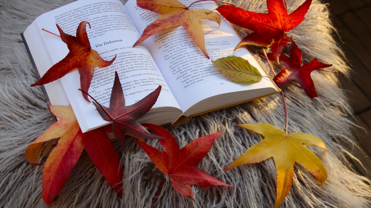 Книга с красивыми желтыми листьями